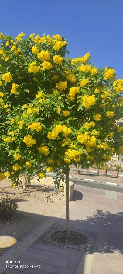 Apartment With Terrace And Parking Eilat 0*,